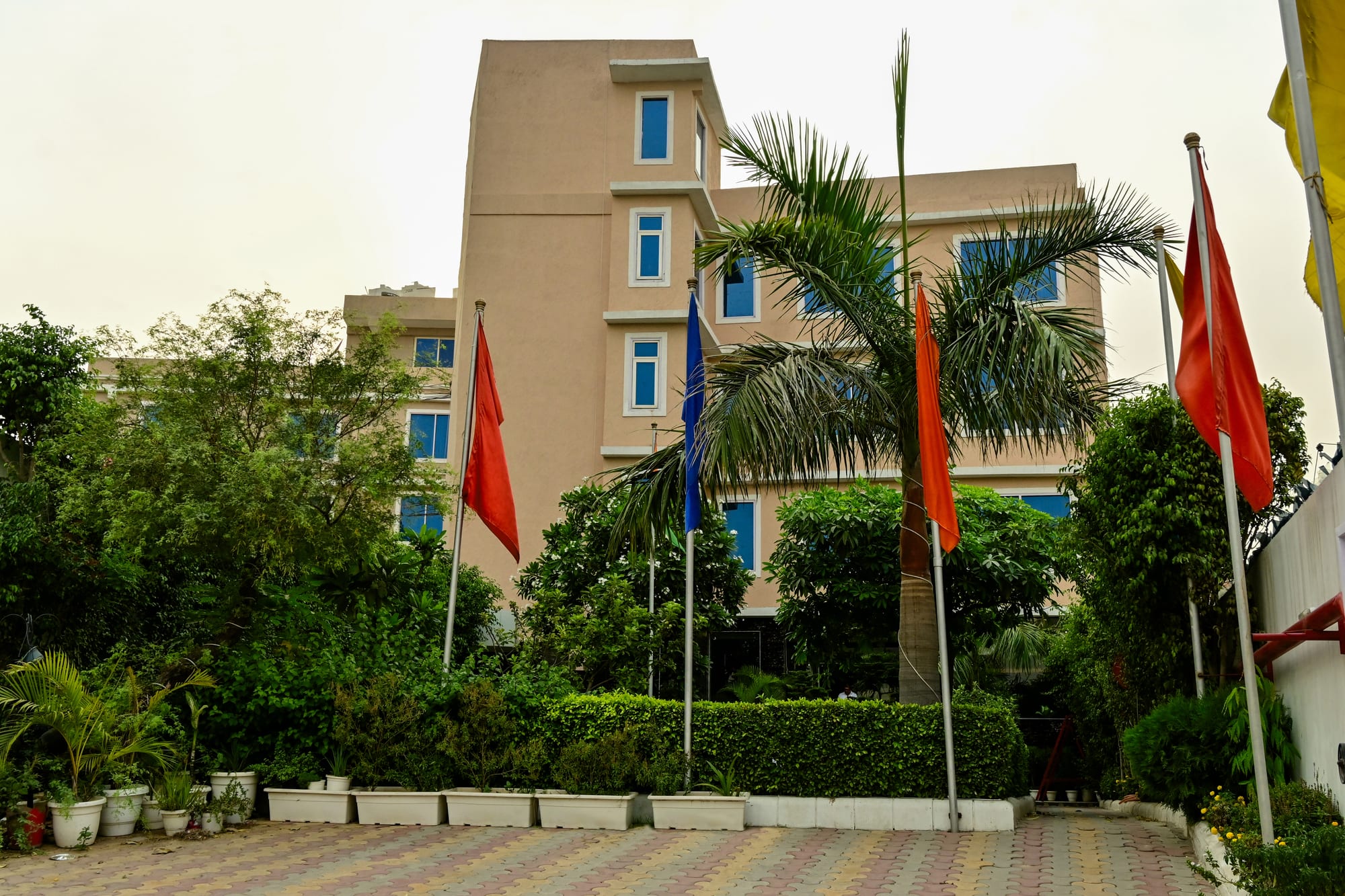 The Shoba State Gold (TSSG)